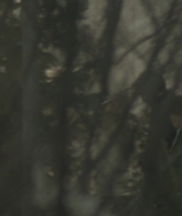 Orphan-First-Kill-0018.jpg